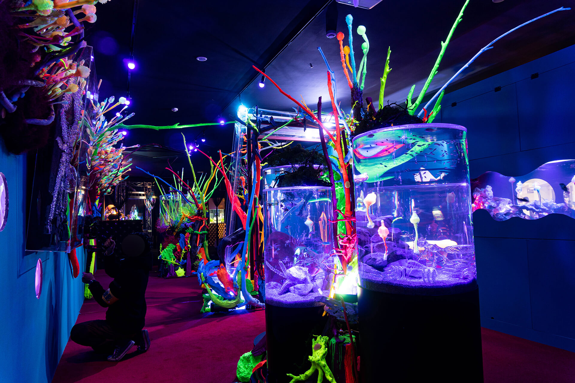 MOZOに宇宙を旅する新感覚の水族館がオープン！「UNDER WATER SPACE NAGOYA」名古屋 西区LifeDesigns ライフデザインズ 東海の暮らしのウェブマガジン