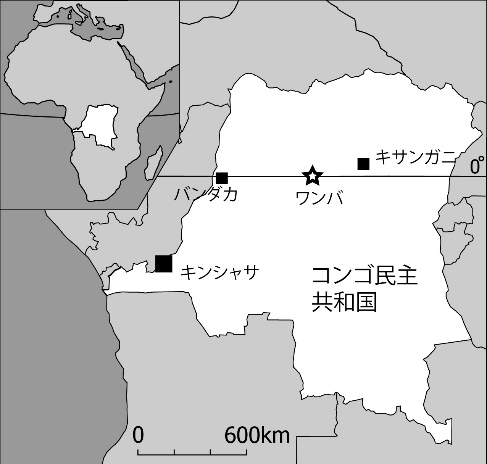 コンゴ川 - Wikipedia