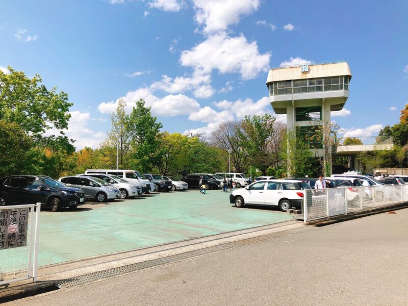 2022年の千葉の桜・お花見リポート - 千葉おでかけ取材班