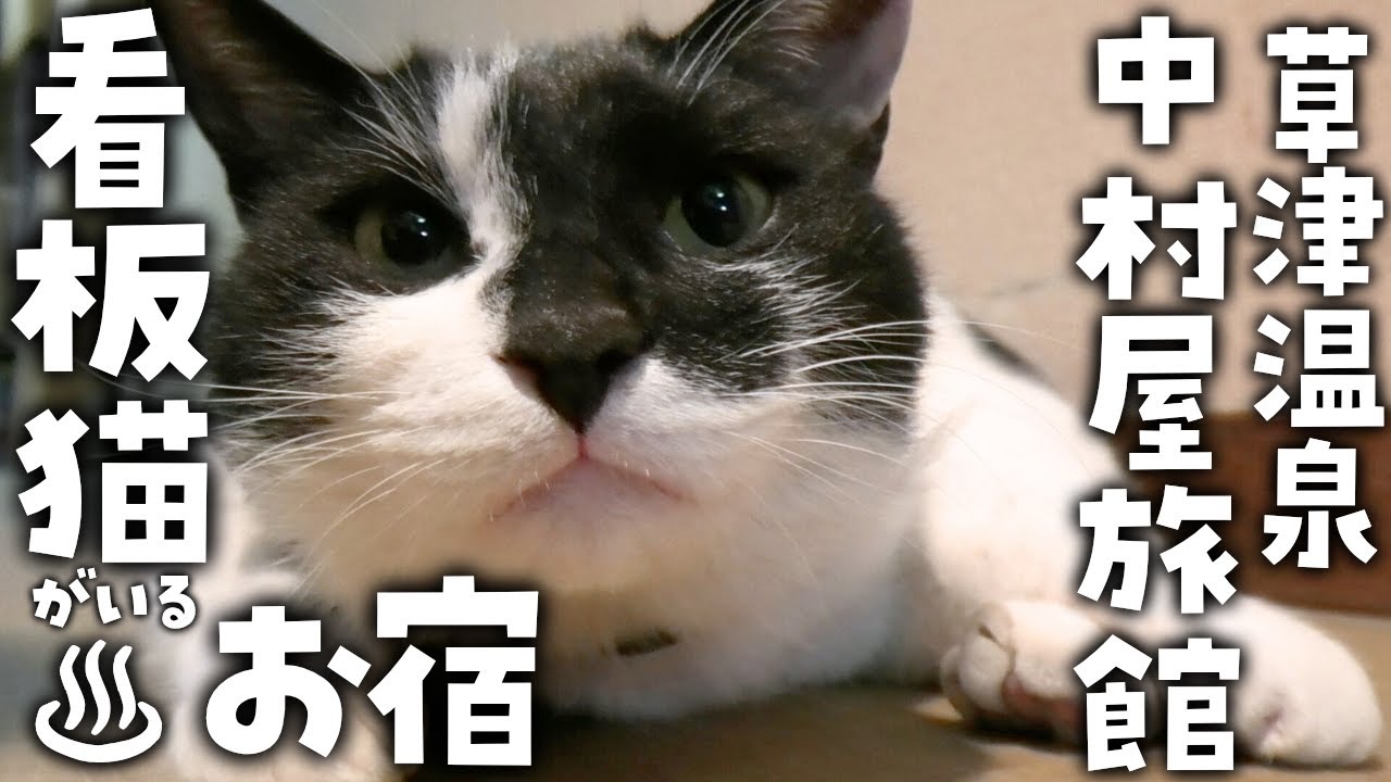 草津温泉 中村屋旅館 夕食と草津温泉感謝祭 ④ : うひひの日。*:.｡☆ ｡.温泉宿泊レポ*:.｡☆ ｡