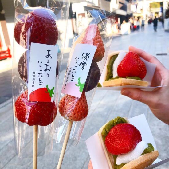 スフレパンケーキが人気！太宰府天満宮近く「カフェ多肉倶楽部」