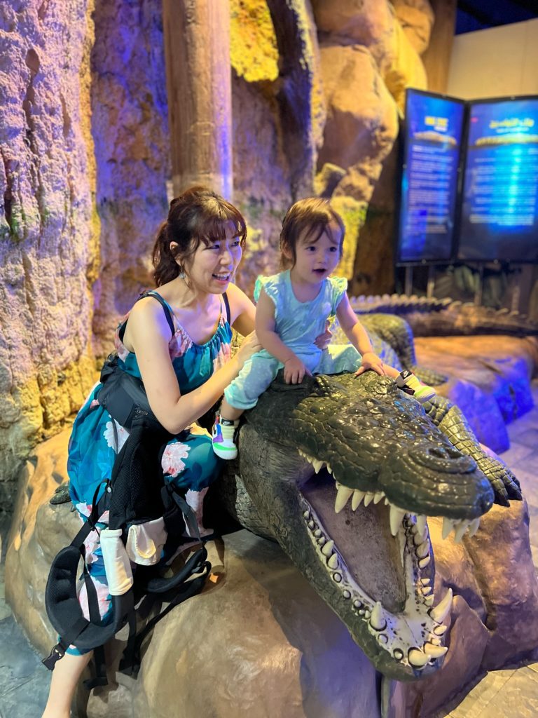 ドバイ モール水族館と水中動物園の優先入場チケット 2025