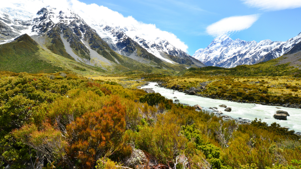マウントクック観光トレッキングは絶景10日間の女一人旅 5– Life like a cat