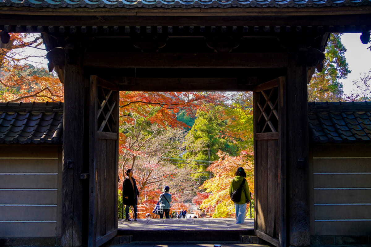円覚寺の紅葉と見頃とおすすめの紅葉撮影スポット鎌倉の寺院と札所巡り by鎌倉PRESS