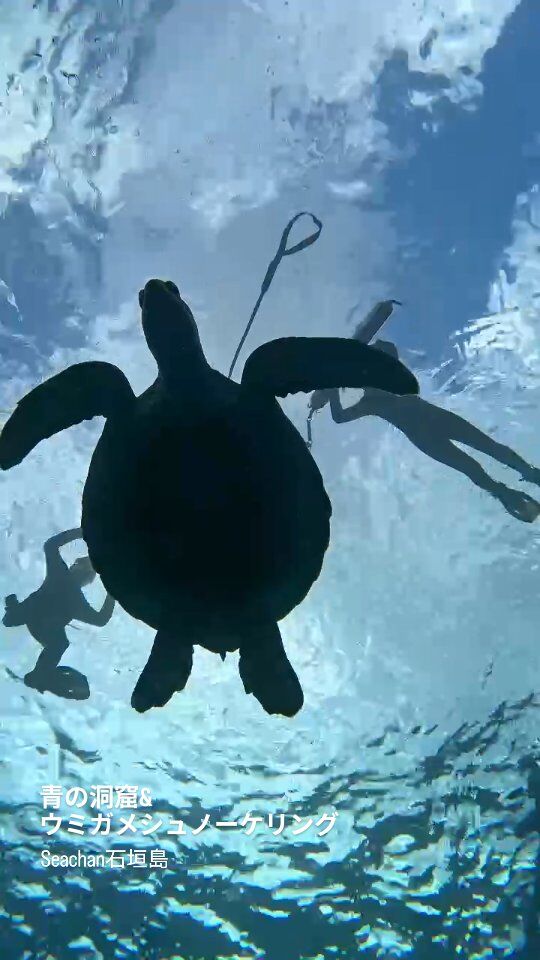 幻の島上陸＆美ら海シュノーケリング 3時間 石垣島・幻の島・小浜島でのシュノーケリング-シーテクニコ