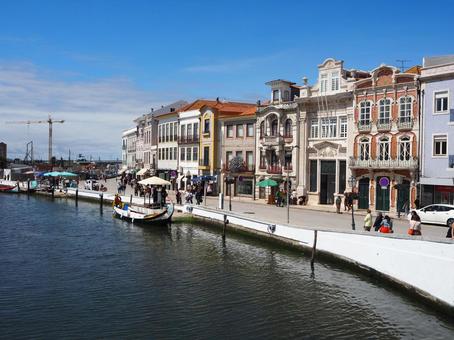 海外のキレイすぎる海と草のフリー画像おしゃれ・かわいい無料写真素材：GIRLY DROP