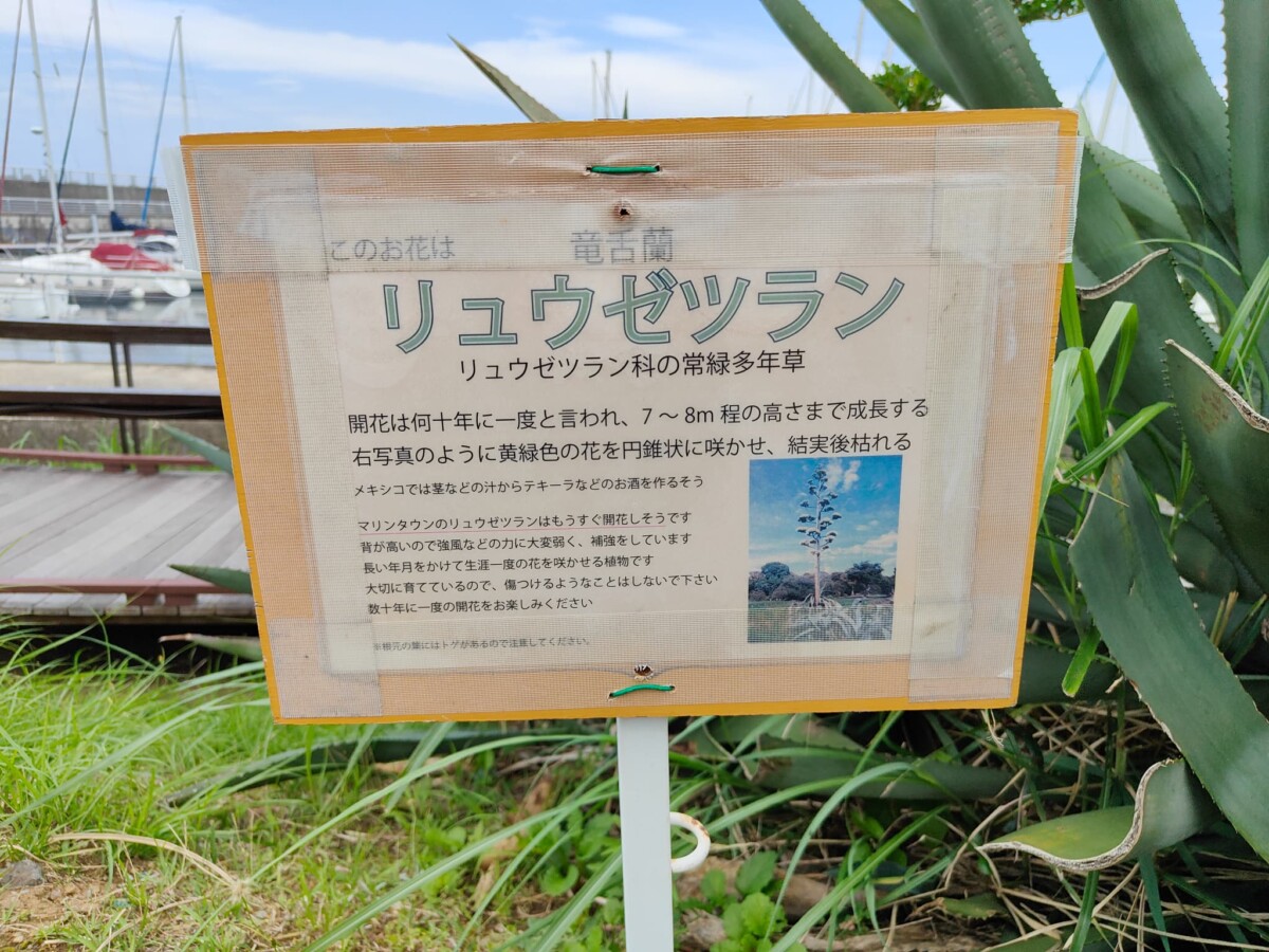 0444 神奈川中央交通 厚木・厚木北営業所管内 “ただ乗るだけ”ツアー ～某位置ゲーのために