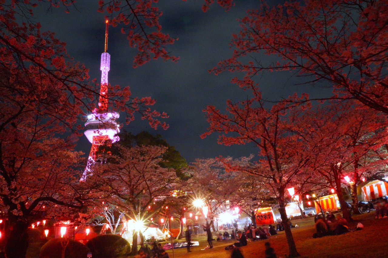tochi_poko 八幡山公園のお花見 栃木県宇都宮市八幡山公園の夜の花見に行って来ました🌸 久しぶりに屋台がある花見でみんなテンションが上がり、たくさん食べてしまった o^^o期間 ３月３０日 木 ～４月９日 日時間 午後８時まで内容 宇都宮タワーの