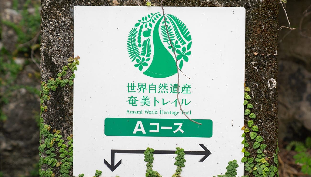 奄美大島 - Wikipedia