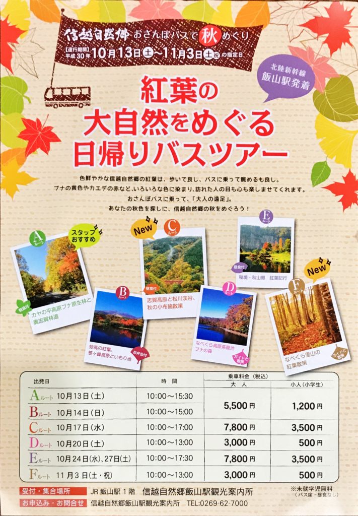 紅葉ツアー日帰りバスツアーで紅葉めぐりの旅タビユー株式会社