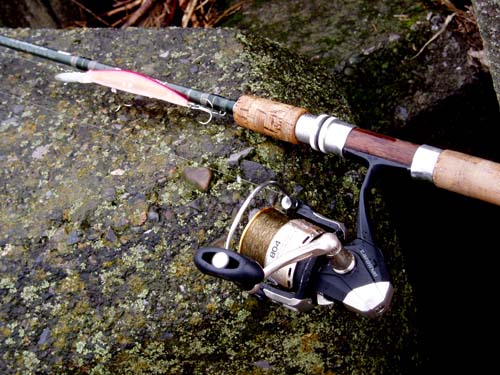 利根川に遡上するサケを見る「利根大堰サケ遡上・採卵観察会」 :: デイリーポータルZ