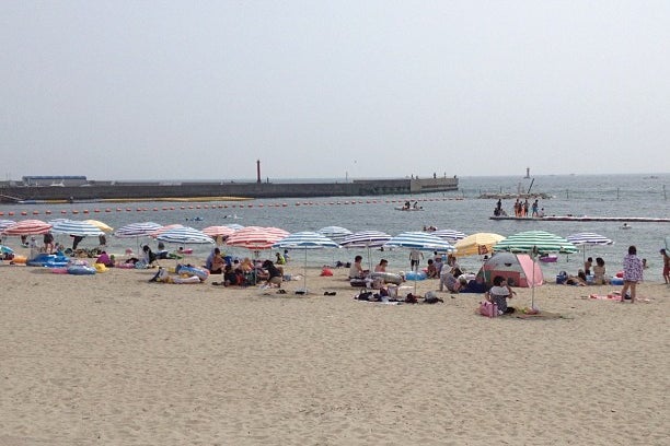 日間賀島の観光ガイド愛知県知多郡南知多町日間賀島NAVITIME Travel