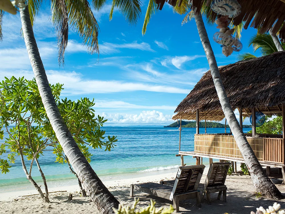 ヘリボシアオネアゲハ インドネシア 西パプア - メルカリ