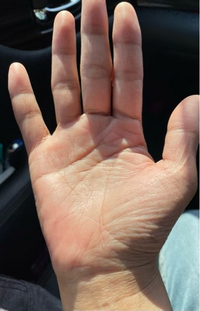 ビア・ラシビア線コワイほど当たる！ 手相占い芸人・島田秀平さんの最強手相占い！占いnon-no web