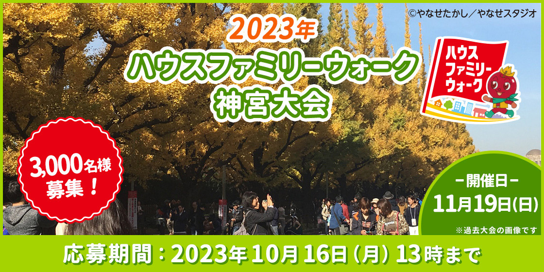 バーモンドファミリーウォーク2019群馬大会』に参加してみた。 - ぐっどTB