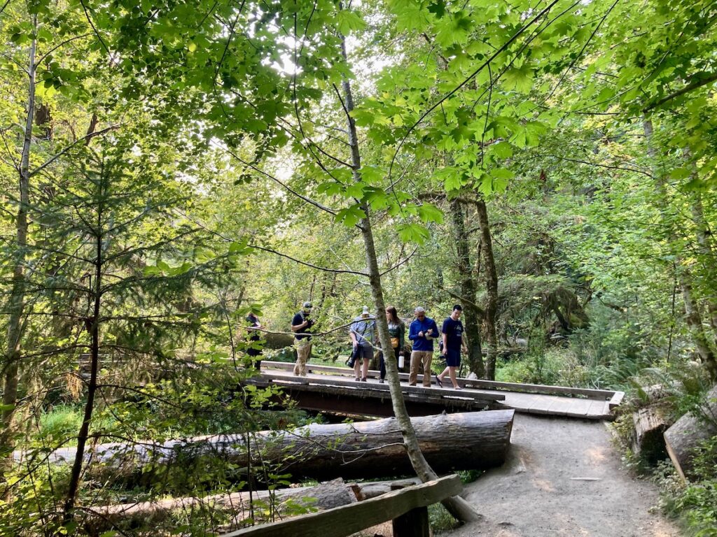 世界遺産 オリンピック国立公園で山、森林、海と変化に富む大自然を体感する - おすすめ旅行を探すならトラベルブック TravelBook
