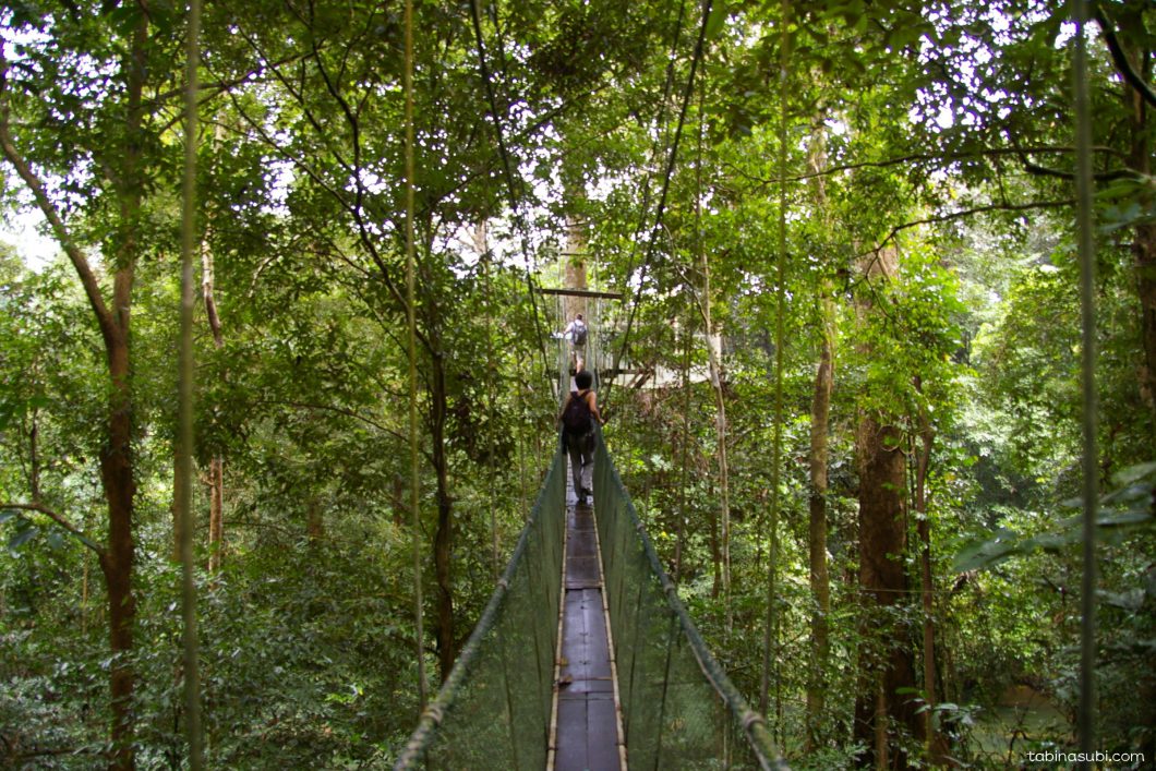 2025年 グヌンムル国立公園のツアー ベスト5 - トリップアドバイザ