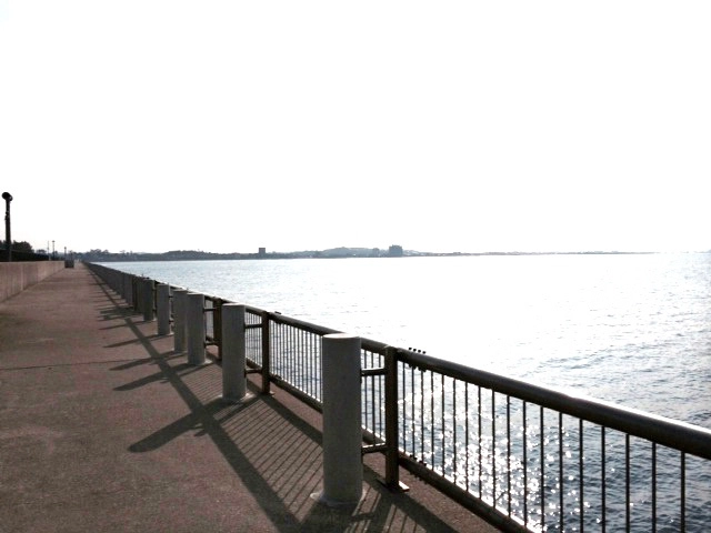 新舞子マリンパーク魚釣り施設愛知県・知多半島・知多市釣具のイシグロ釣り情報サイト