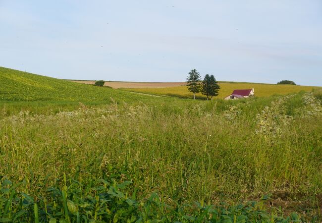 美瑛・赤い屋根の家への行き方は？アクセスと観光案内ばやしの北海道紀行