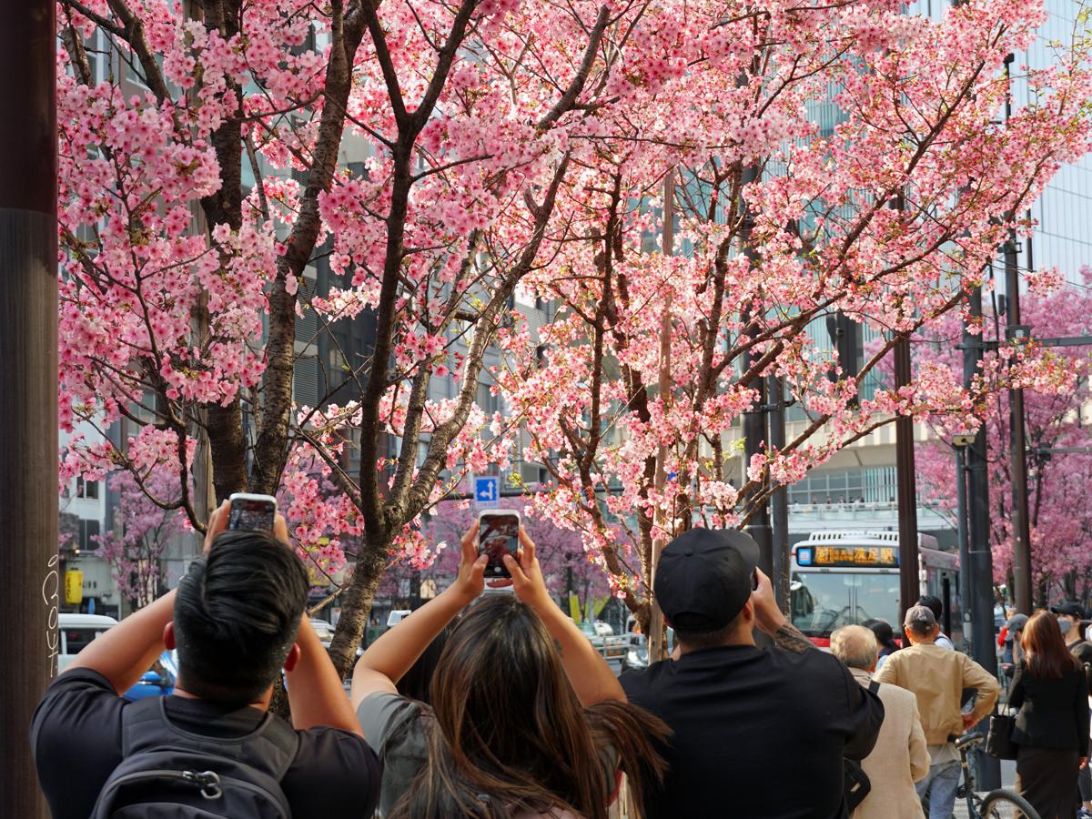 タイ人など外国人にとって渋谷スクランブル交差点は観光地！ - 日タイ交流会 JTC คลับพูดคุยภาษาญี่ปุ่นกับคนญี่ปุ่น