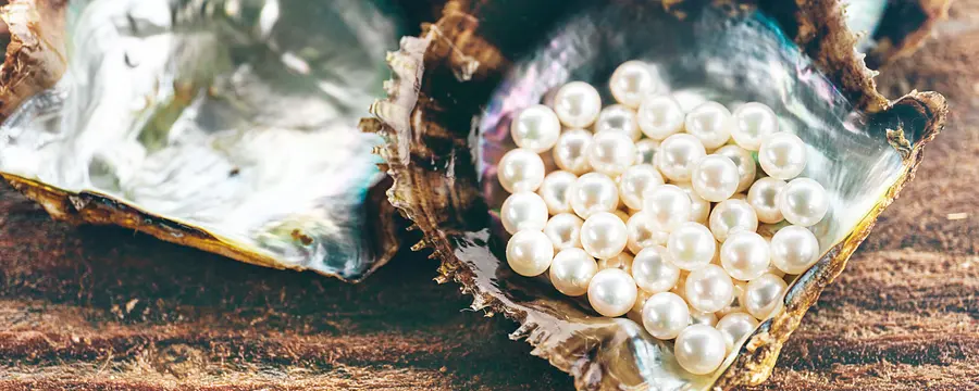 真珠を愛でたくなる！真珠を育むリアス海岸の魅力を伝える「真珠工房 真珠の里」山本長久さん家族の物語。三重の里 いなか旅のススメ