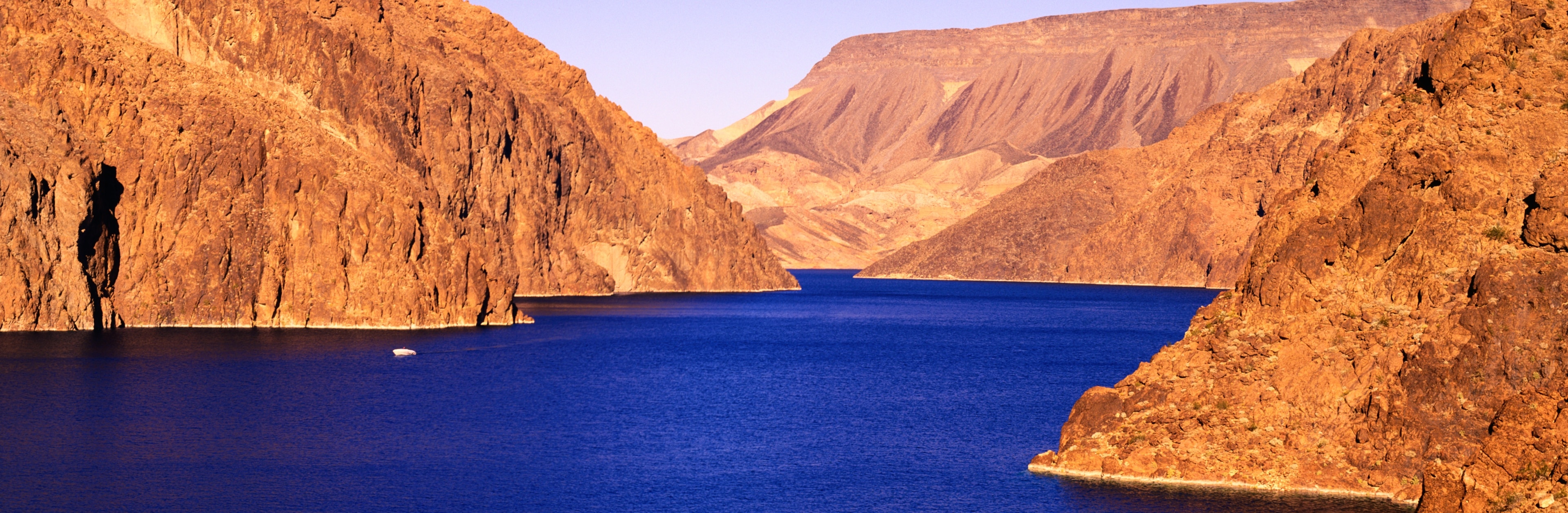 Audi S7のルーフにラッピング,ヘッドライトにスモーク施工