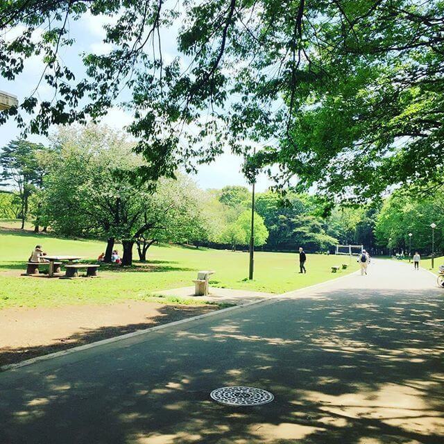 公園でピクニックデート！東京都内でカップルにおすすめのスポットアクティビティジャパン