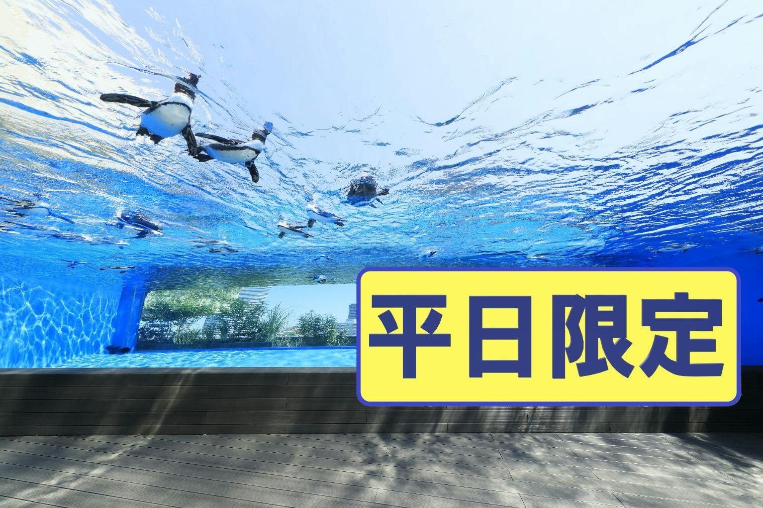 名古屋港水族館ホームページ<公式>
