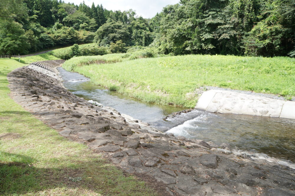 桜 大和町 七ツ森湖 1 2 立輪水辺公園と宮橋公園 宮城県の桜129 : 仙台人が仙台観光をしているブログ