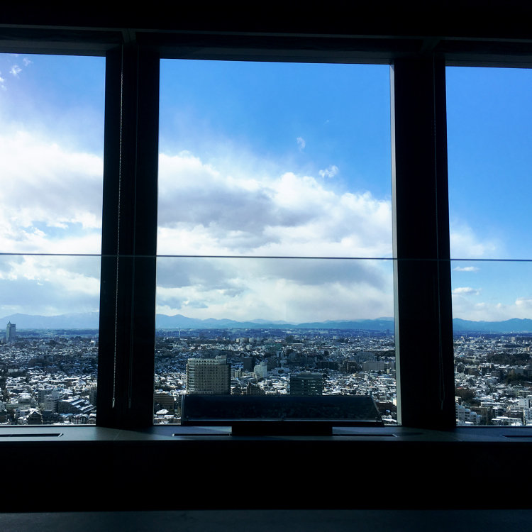 無料展望台 三軒茶屋駅前にあるキャロットタワー展望ロビー – モリブロ