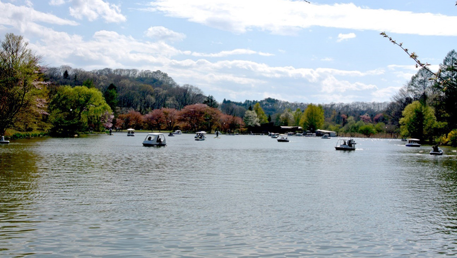 秋のキッズチャレンジネイチャーキッズ森の家軽井沢プリンスホテル