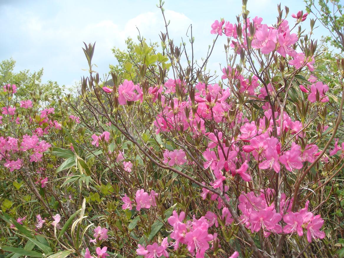 体験記編集部でSCTを歩いてみたら。 – 雪と旅