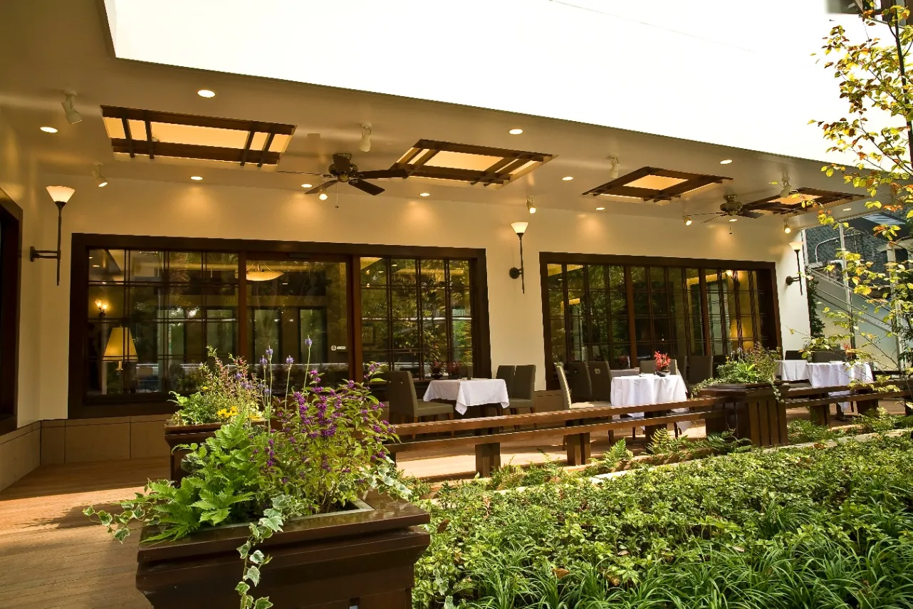 外苑前の銀杏並木へ〜店内ワンコカフェCITRON旅好きフリー薬剤師AKO 女1人&犬1匹暮らし