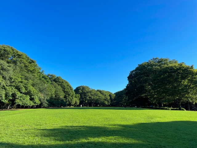東京 おしゃれピクニックができる公園8選！カフェがあって手ぶらで楽しめる じゃらんニュース