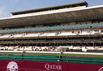 凱旋門賞、見どころ多く 波乱の可能性も - 日本経済新聞