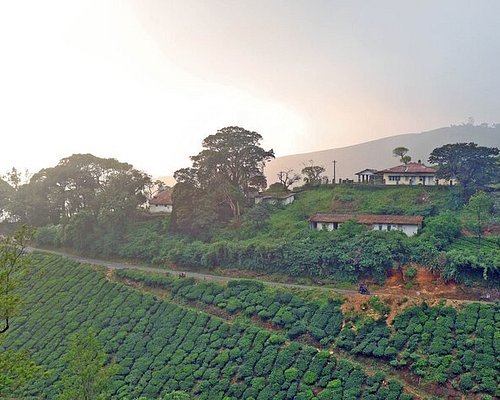 ☆11月～4月限定☆インドサイ最大の生息地「カジランガ国立公園」と「生きてる橋」ノングリアットへ８日間」 ﾂｱｰｺｰﾄﾞ:MT-0169 ツアーから探すインド専門のツアー、航空券、ホテルなどインド旅行のお手伝い＜パラダイスツアーズ＞