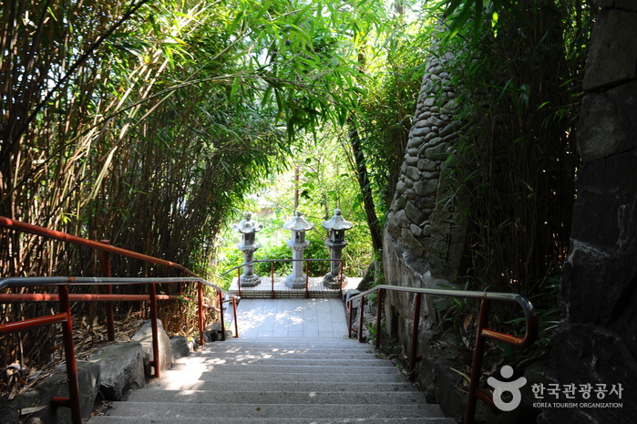 釜山・機張エリア 願いが叶う？現地の人も多く訪れる観光地・海東龍宮寺たびこふれ