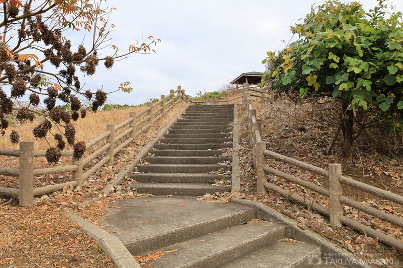 もみじ姫公園 富山の観光地