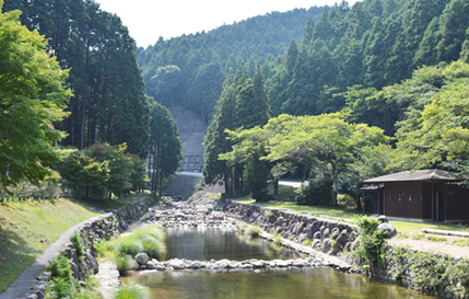 アクセス抜群！三重県にある素敵なキャンプ場「かぶとの森テラス」のご紹介です。 - がーくん水産～2号店～