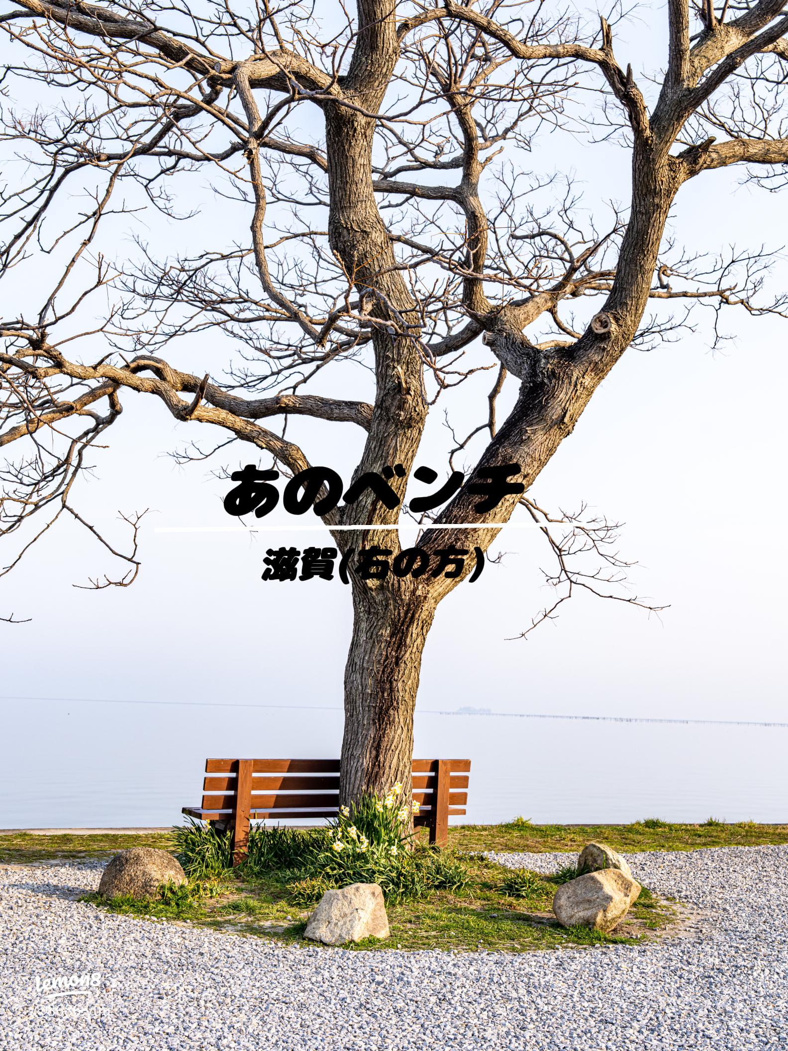『あのベンチ』, ., 滋賀県彦根市の琵琶湖岸にあるベンチ。, 眺めが良いので人気のスポット。,琵琶湖 ,滋賀,京都,福井,田舎暮らし,お散歩,japan,japantravel,japantrip,japantourism,japantour,japangram,nature,reels,reelsinatagram,bessの家