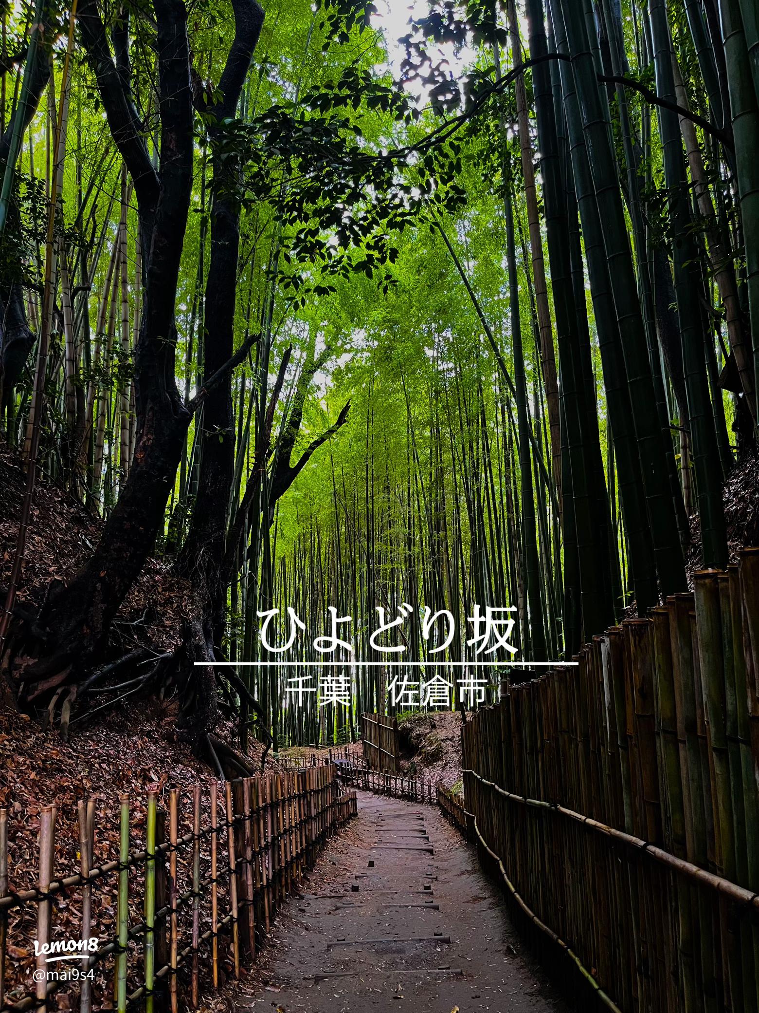 佐倉武家屋敷 江戸時代の生活を感じる屋敷通り 撮影で使っていた 駐車場あり - どこでもGO