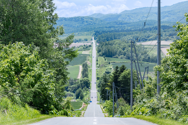 🏍おすすめツーリングロード<霧降高原道路 栃木県 > 日光・女峰山の東、霧降高原を走る観光道路。夏はニッコウキスゲの彩りが豊か。所々にパーキングがあり、終点は牧草地が広がる大笹牧場。深い谷になっている六方沢の眺めも見事🏞️追加ハッシュタグツーリング