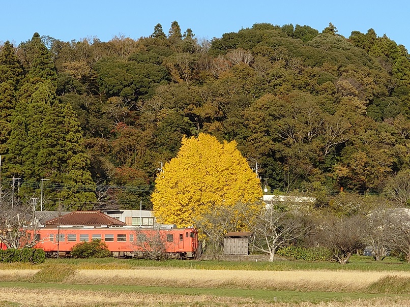 小湊鉄道上総鶴舞駅本屋 文化遺産オンライン