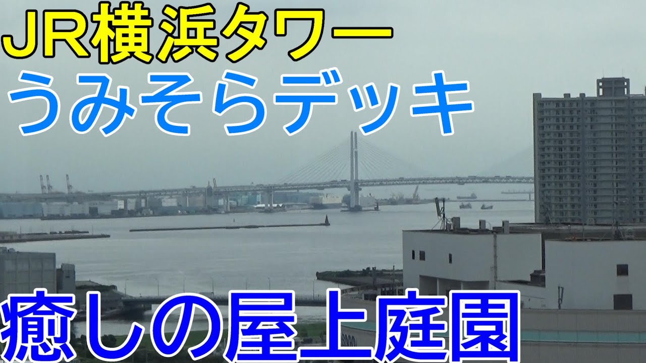 横浜駅うみそらデッキ＆JR横浜タワー＆NEWoMan
