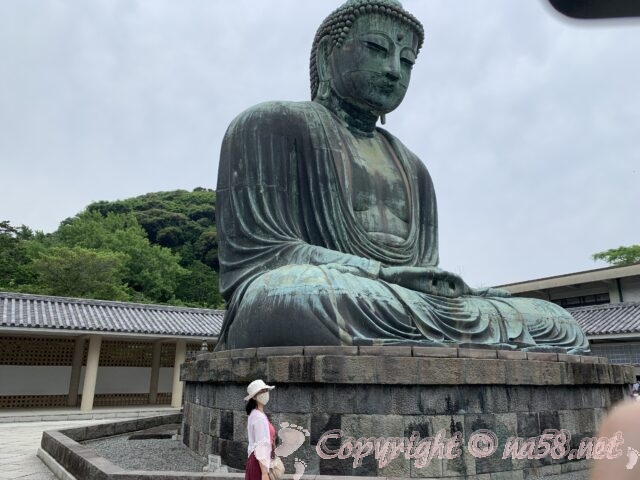 鎌倉の観光スポット近くにある駐車場特集 「鎌倉殿と13人の重臣」ゆかりの地を巡る タイムズ駐車場検索