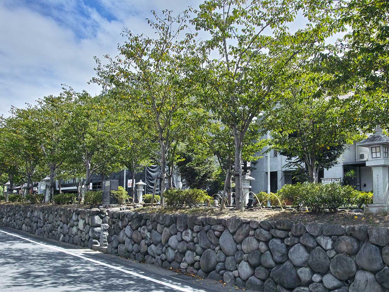 鶴岡八幡宮 段葛 若宮大路 源頼朝の墓