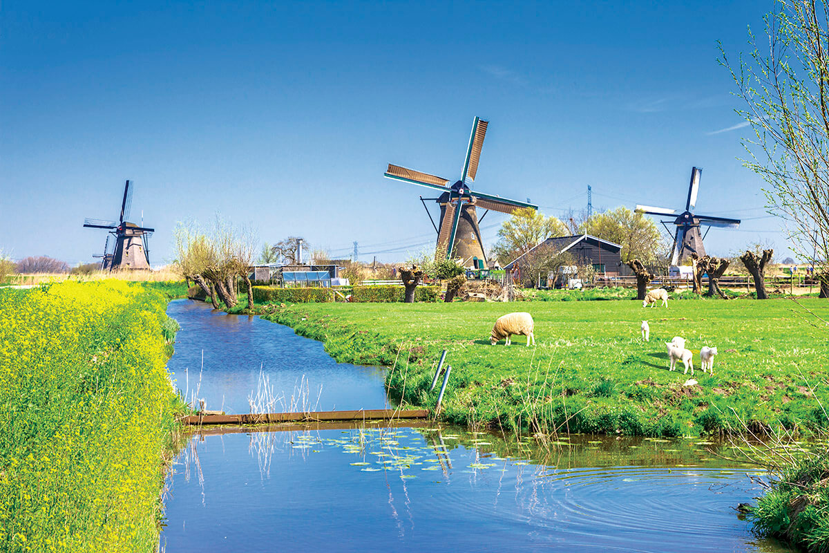オランダ観光スポット紹介 風車、チューリップ、チーズ、ミッフィー！おすすめスポットを厳選Holidayホリデー