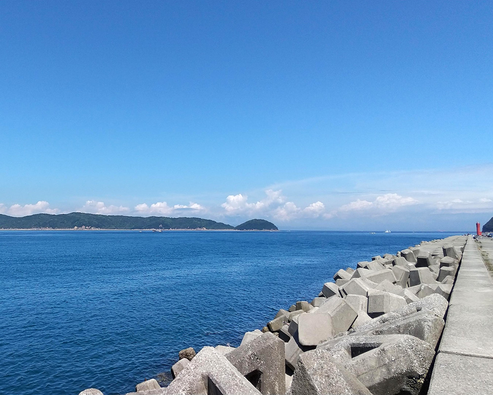 関西で楽しむ海辺ピクニック2025 年のリアルなLemon8ユーザー体験