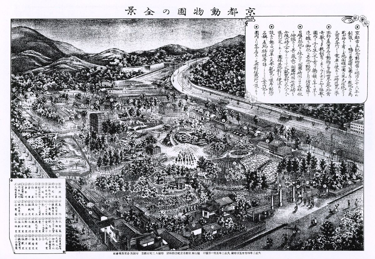 天王寺公園エントランスエリア「てんしば」で芝張りイベント