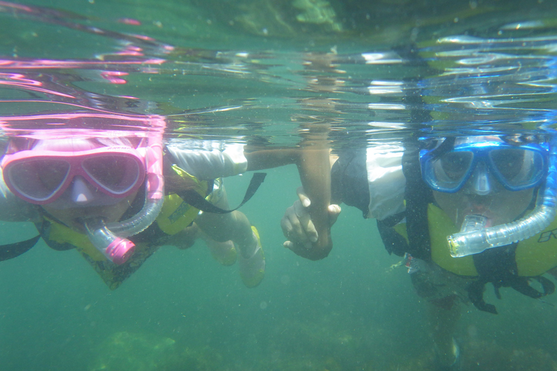 シュノーケリング 伊豆TikTok